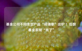 基金公司不同类型产品“成绩单”出炉 ！指数基金表现“亮了”