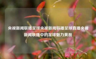 央视新闻联播足球央视新闻联播足球直播央视新闻联播中的足球魅力黄磊