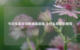 今日头条足球新闻最新版,今日头条足彩推荐