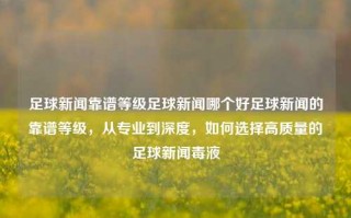 足球新闻靠谱等级足球新闻哪个好足球新闻的靠谱等级，从专业到深度，如何选择高质量的足球新闻毒液