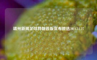 靖州新闻足球特朗普版宣布胜选2024.11.27