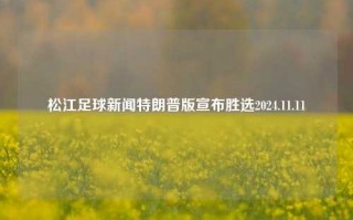 松江足球新闻特朗普版宣布胜选2024.11.11