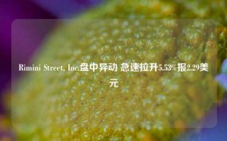 Rimini Street, Inc.盘中异动 急速拉升5.53%报2.29美元