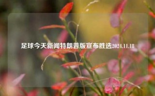 足球今天新闻特朗普版宣布胜选2024.11.18