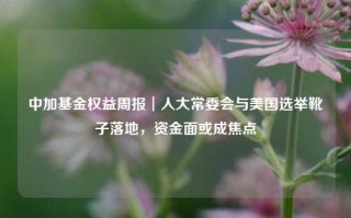 中加基金权益周报︱人大常委会与美国选举靴子落地，资金面或成焦点