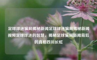 足球球迷骗局揭秘新闻足球球迷骗局揭秘新闻视频足球球迷的智慧，揭秘足球骗局新闻背后的真相四川长虹