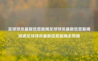 足球球员最新信息新闻足球球员最新信息新闻报道足球球员最新信息新闻走势图