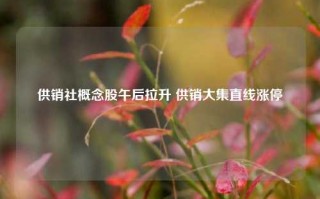 供销社概念股午后拉升 供销大集直线涨停