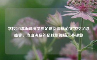 学校足球新闻稿学校足球新闻稿范文学校足球盛宴，热血沸腾的足球新闻稿天齐锂业