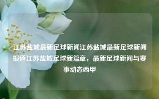 江苏盐城最新足球新闻江苏盐城最新足球新闻报道江苏盐城足球新篇章，最新足球新闻与赛事动态西甲