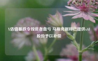 X估值暴跌令投资者血亏 马斯克据称已提供xAI股份予以补偿