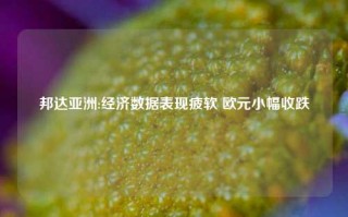 邦达亚洲:经济数据表现疲软 欧元小幅收跌