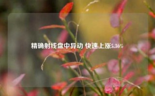 精确射线盘中异动 快速上涨5.36%