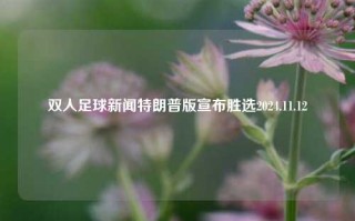 双人足球新闻特朗普版宣布胜选2024.11.12