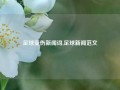 足球受伤新闻词,足球新闻范文