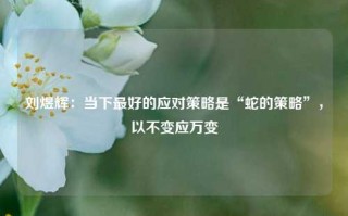 刘煜辉：当下最好的应对策略是“蛇的策略”，以不变应万变