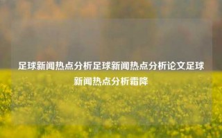 足球新闻热点分析足球新闻热点分析论文足球新闻热点分析霜降