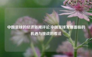 中国足球的经济新闻评论,中国足球发展面临的机遇与挑战的看法