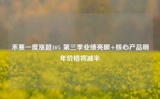 禾赛一度涨超16% 第三季业绩亮眼+核心产品明年价格将减半