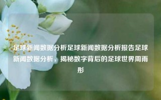 足球新闻数据分析足球新闻数据分析报告足球新闻数据分析，揭秘数字背后的足球世界周雨彤