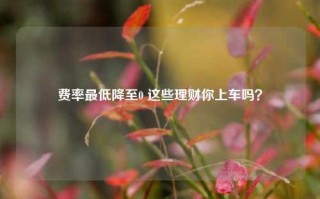 费率最低降至0 这些理财你上车吗？