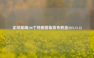 足球新闻100个特朗普版宣布胜选2024.11.13