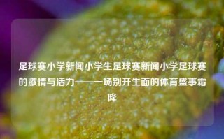 足球赛小学新闻小学生足球赛新闻小学足球赛的激情与活力——一场别开生面的体育盛事霜降