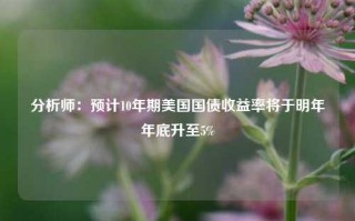 分析师：预计10年期美国国债收益率将于明年年底升至5%