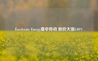 Excelerate Energy盘中异动 股价大涨5.01%