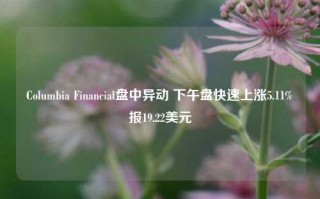 Columbia Financial盘中异动 下午盘快速上涨5.11%报19.22美元