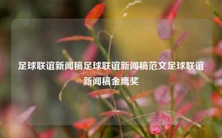 足球联谊新闻稿足球联谊新闻稿范文足球联谊新闻稿金鹰奖