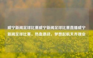 威宁新闻足球比赛威宁新闻足球比赛直播威宁新闻足球比赛，热血激战，梦想起航天齐锂业