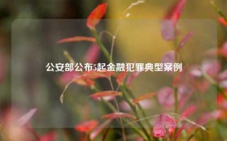 公安部公布5起金融犯罪典型案例