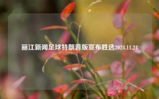 丽江新闻足球特朗普版宣布胜选2024.11.24