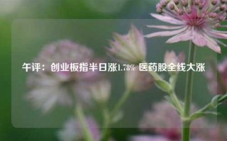 午评：创业板指半日涨1.78% 医药股全线大涨