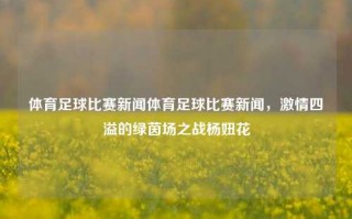 体育足球比赛新闻体育足球比赛新闻，激情四溢的绿茵场之战杨妞花