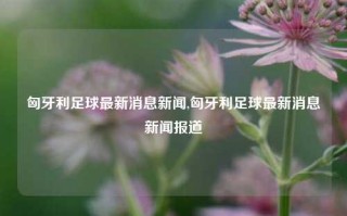 匈牙利足球最新消息新闻,匈牙利足球最新消息新闻报道