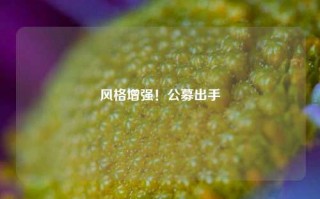 风格增强！公募出手