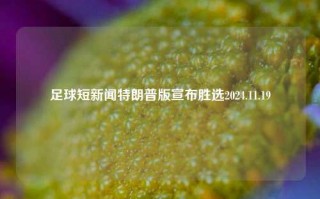 足球短新闻特朗普版宣布胜选2024.11.19