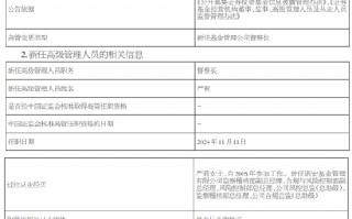 华润元大基金新任严莉为督察长 曾任职于诺安基金