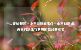 三中足球新闻三中足球新闻事件三中足球新闻，青春的热血与梦想的舞台寒衣节