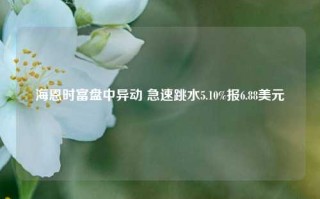 海恩时富盘中异动 急速跳水5.10%报6.88美元