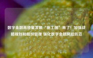 数字金融高质量发展“施工图”来了！加强战略规划和组织管理 强化数字金融风险防范