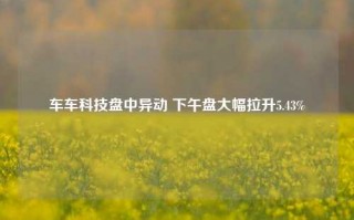 车车科技盘中异动 下午盘大幅拉升5.43%