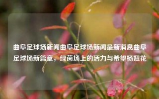 曲阜足球场新闻曲阜足球场新闻最新消息曲阜足球场新篇章，绿茵场上的活力与希望杨妞花