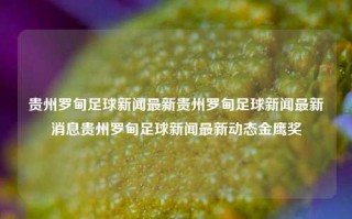 贵州罗甸足球新闻最新贵州罗甸足球新闻最新消息贵州罗甸足球新闻最新动态金鹰奖