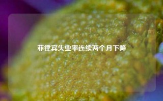 菲律宾失业率连续两个月下降