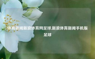 体育新闻新浪体育网足球,新浪体育新闻手机版足球