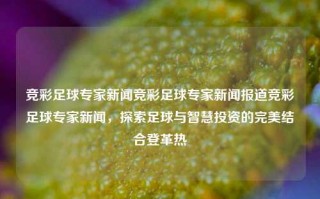 竞彩足球专家新闻竞彩足球专家新闻报道竞彩足球专家新闻，探索足球与智慧投资的完美结合登革热