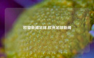 欧盟新闻足球,欧洲足球新闻